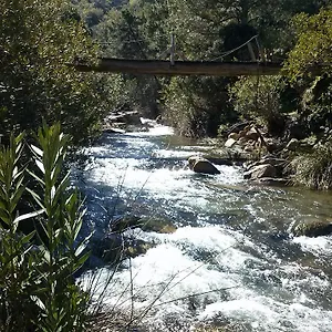 La Del Recovero Pensión